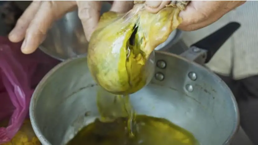 What Is Beef Bile? A complete Overview