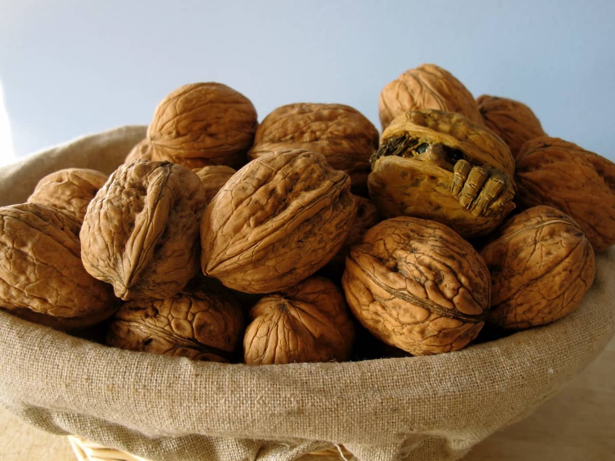 Walnuts