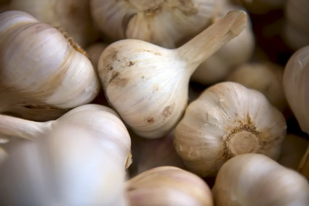 Does garlic Need to be Refrigerated?