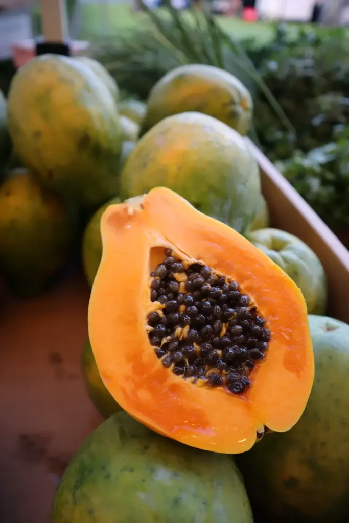Papaya