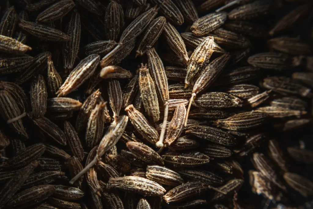 Cumin Plant