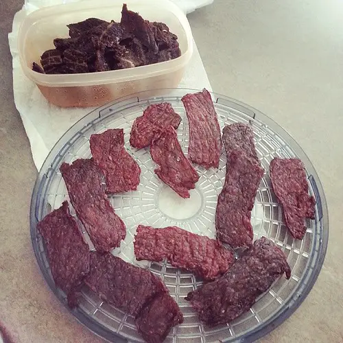 Can you heat up beef jerky?