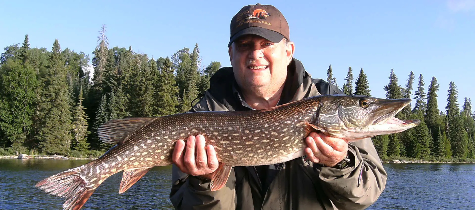 what does northern pike taste like?