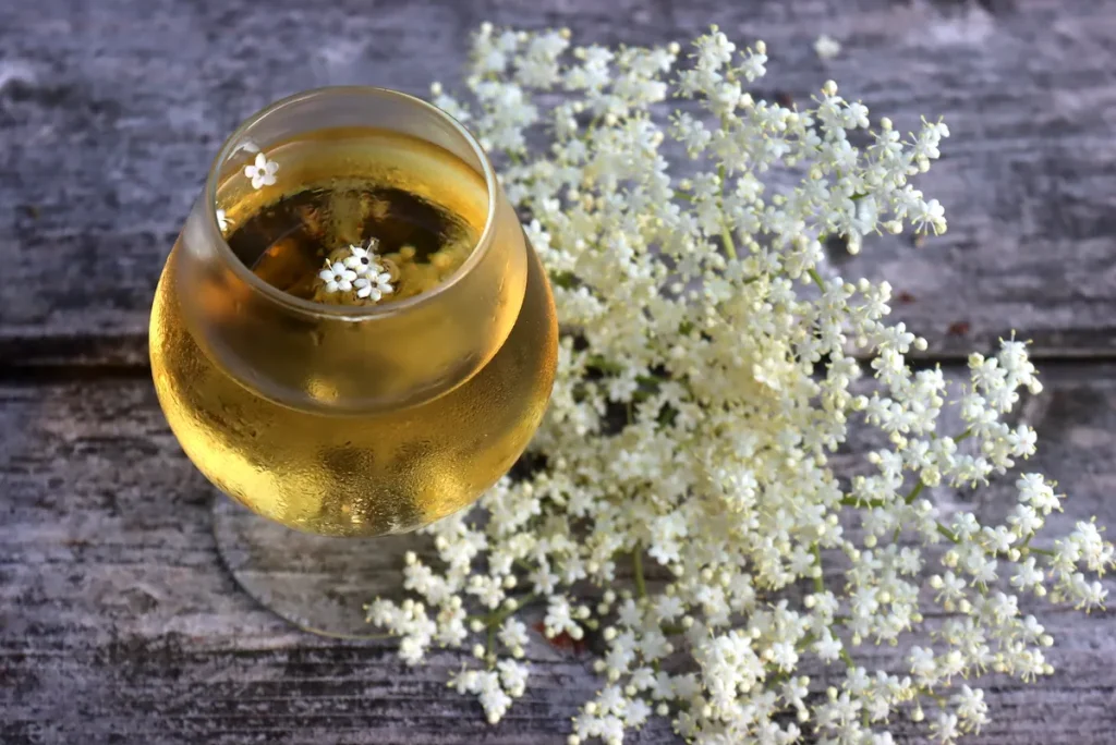 Elderflower Wine Recipe