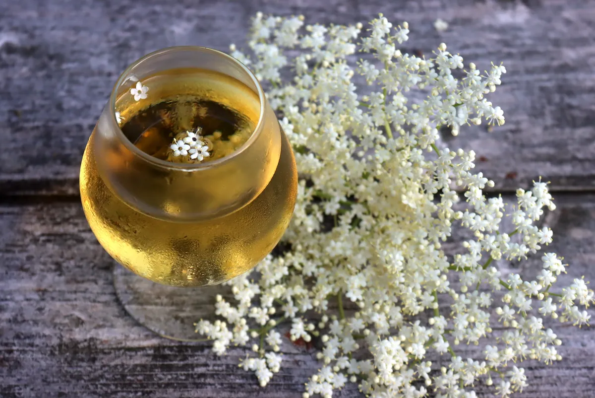 Elderflower Wine Recipe