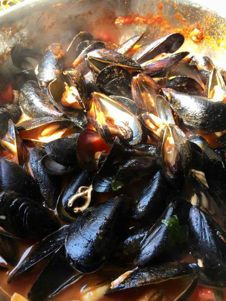 an All-Clad wide pan with steaming hot mussels guazetto (tomato white wine sauce) in the sunlight