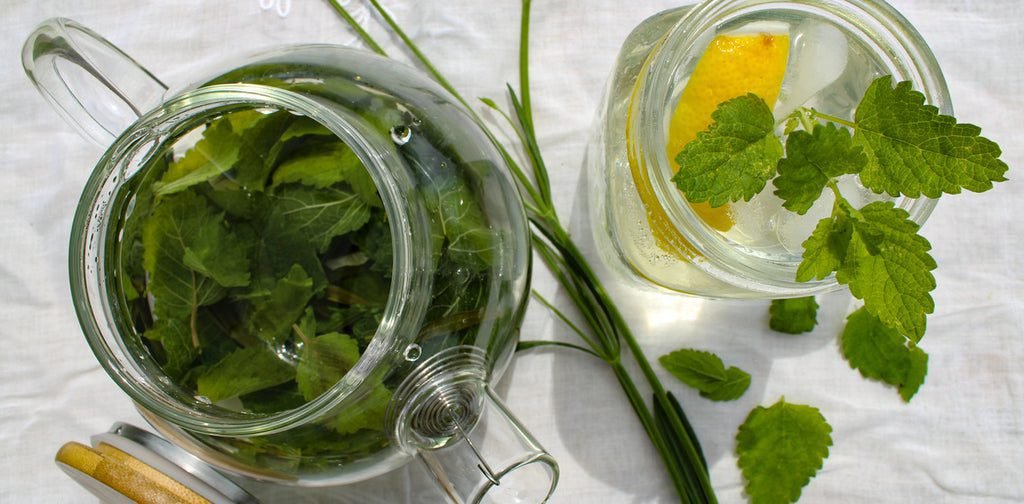 Iced Lemon Balm & Lavender Tisane styled with ingredients