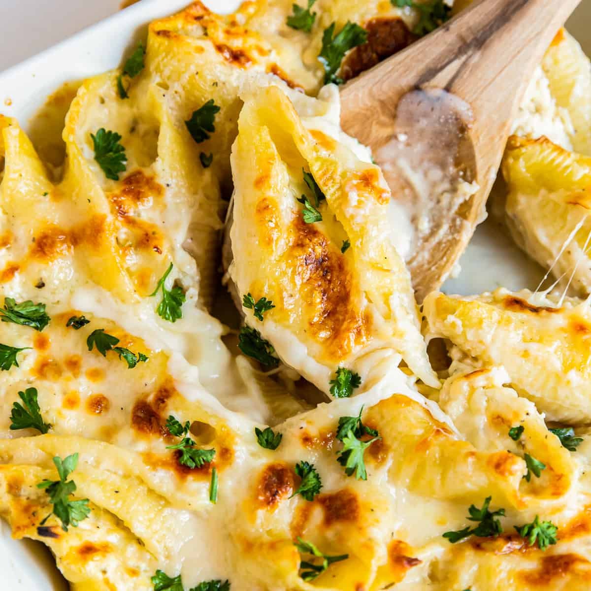 Chicken Alfredo Stuffed Shells Recipe
