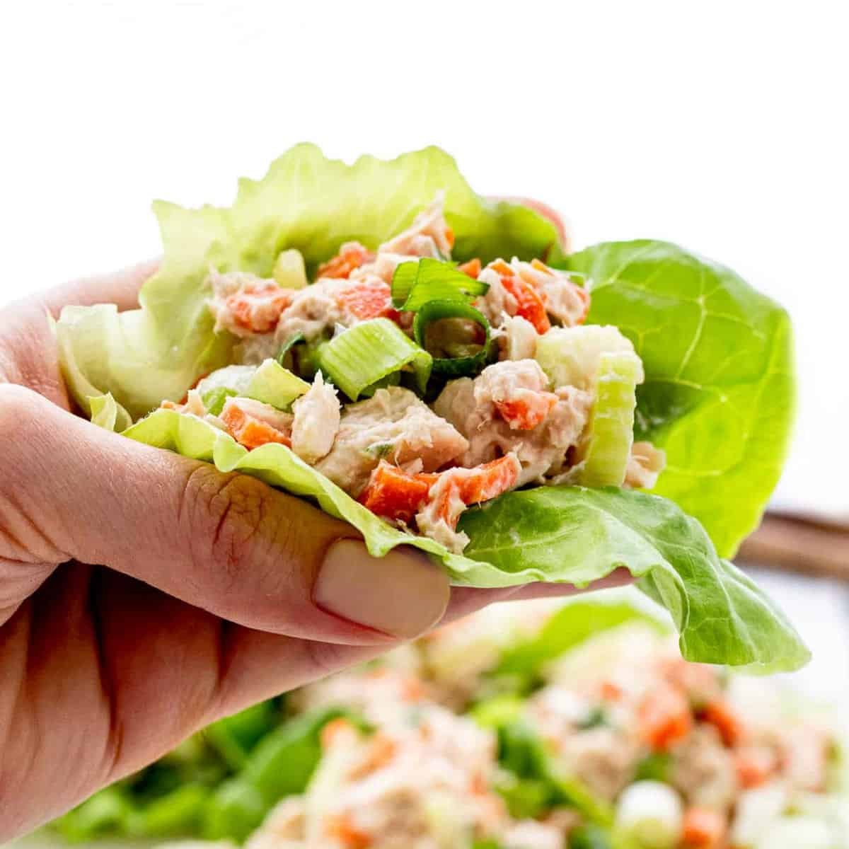 Healthy Tuna Lettuce Wraps {without Mayo}