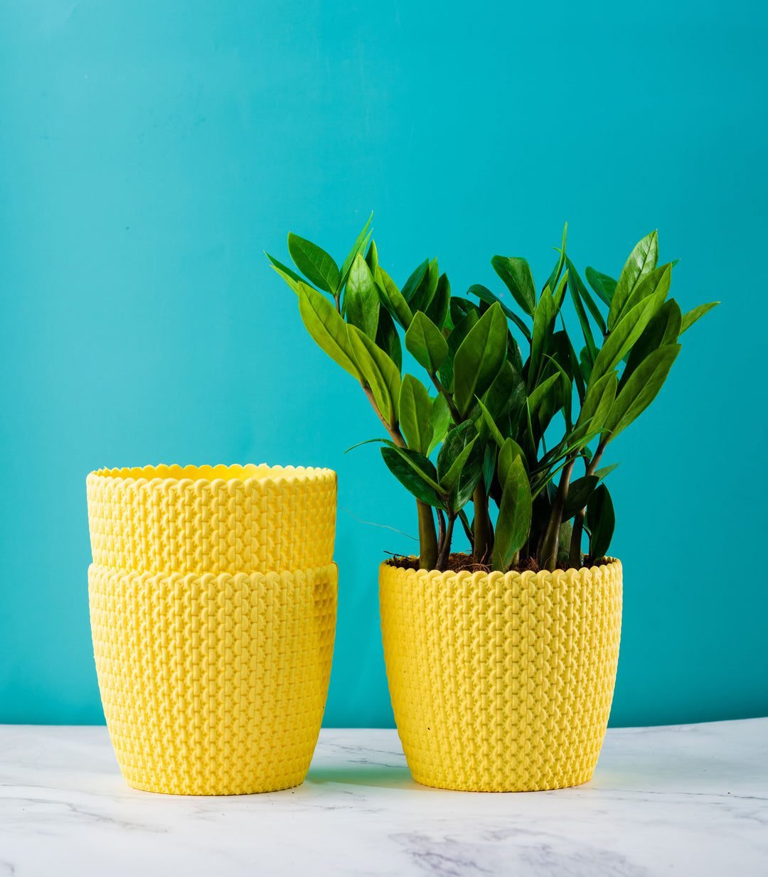 Buy Textured Yellow Purl Fiber Planters Pack Online – Nurturing Green