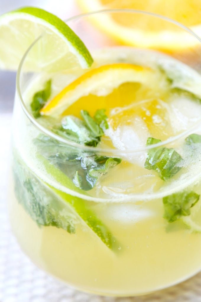 The Best Ginger Moscow Mule | Pickled Plum