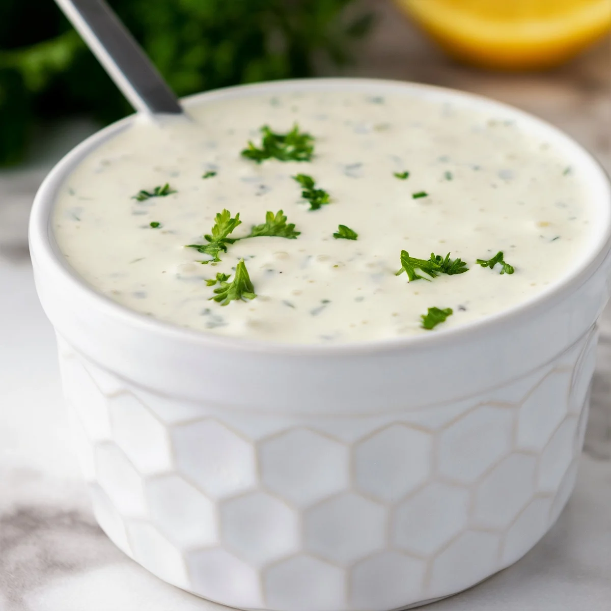 Garlic Sauce Recipe