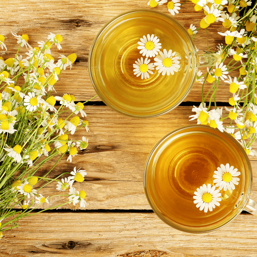 Organic Chamomile Flower Tea – TegaOrganicTea