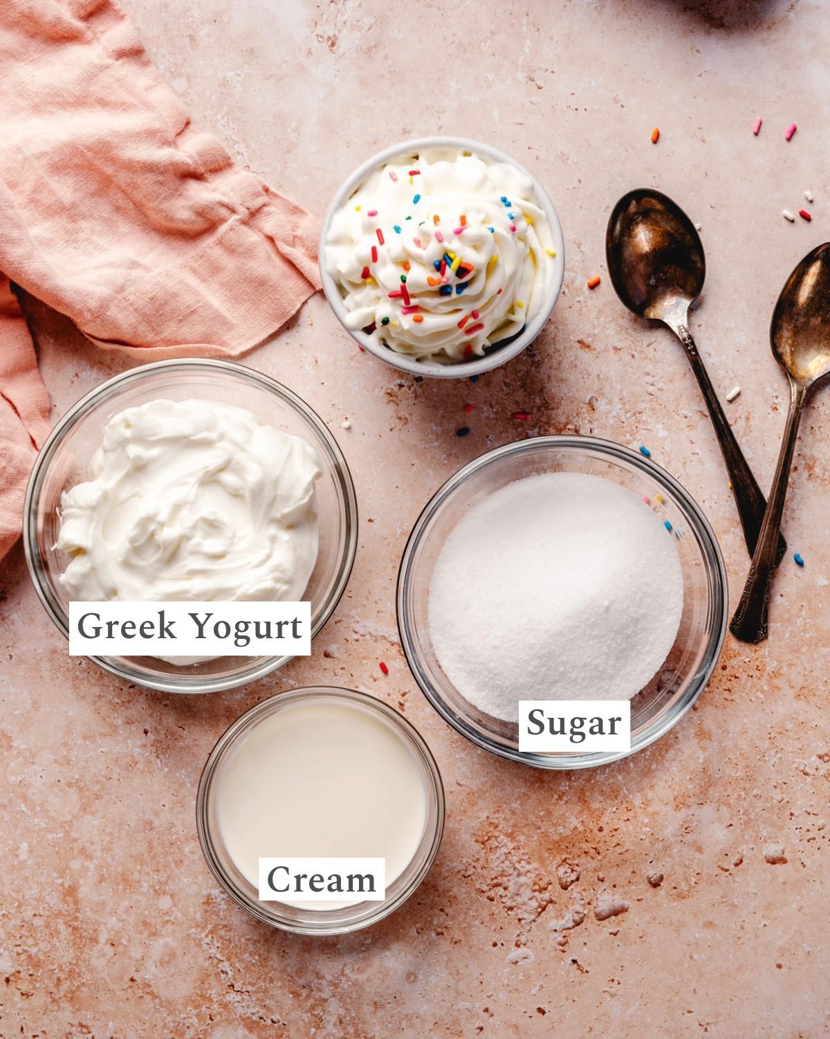 Homemade Frozen Yogurt – A Couple Cooks