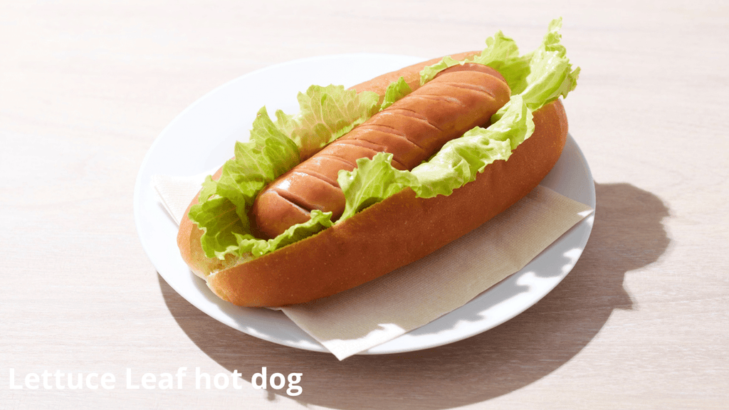 Lettuce Leaf Alternatives