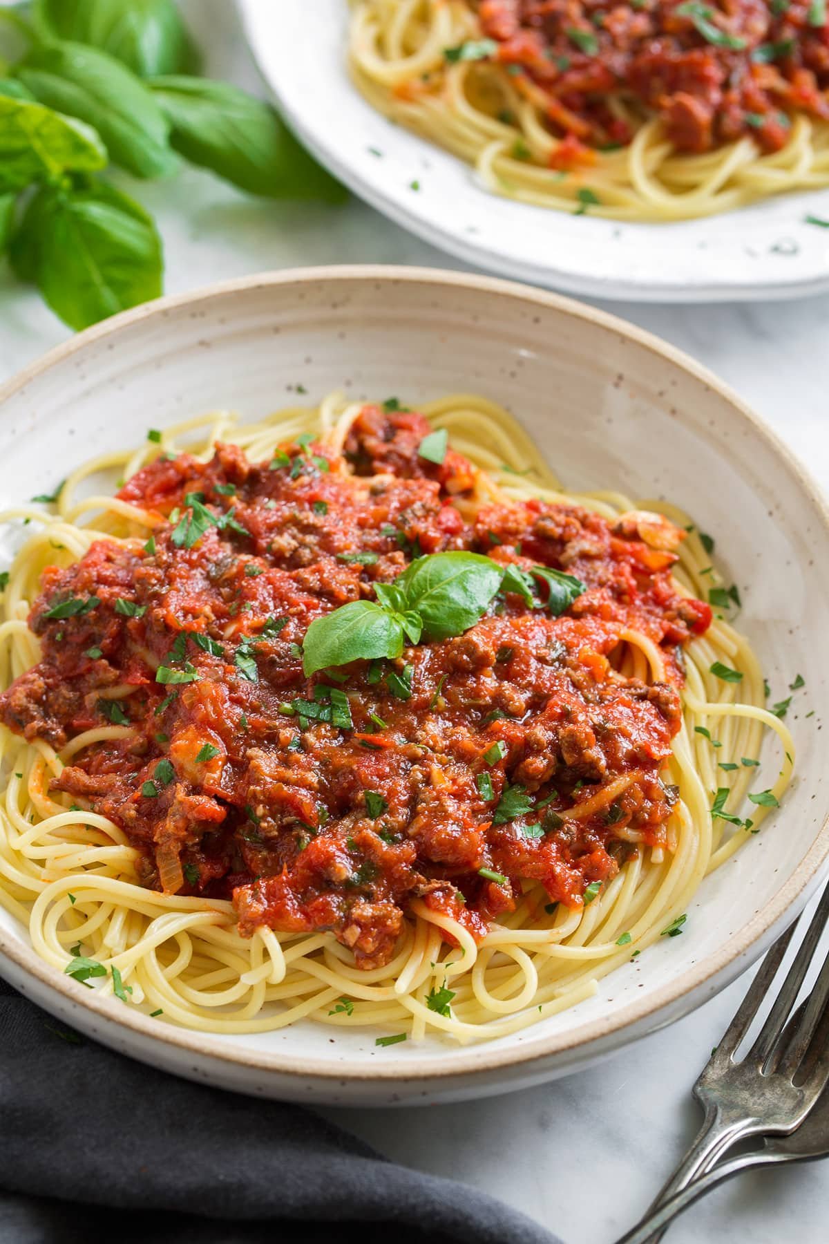 Homemade Spaghetti Sauce