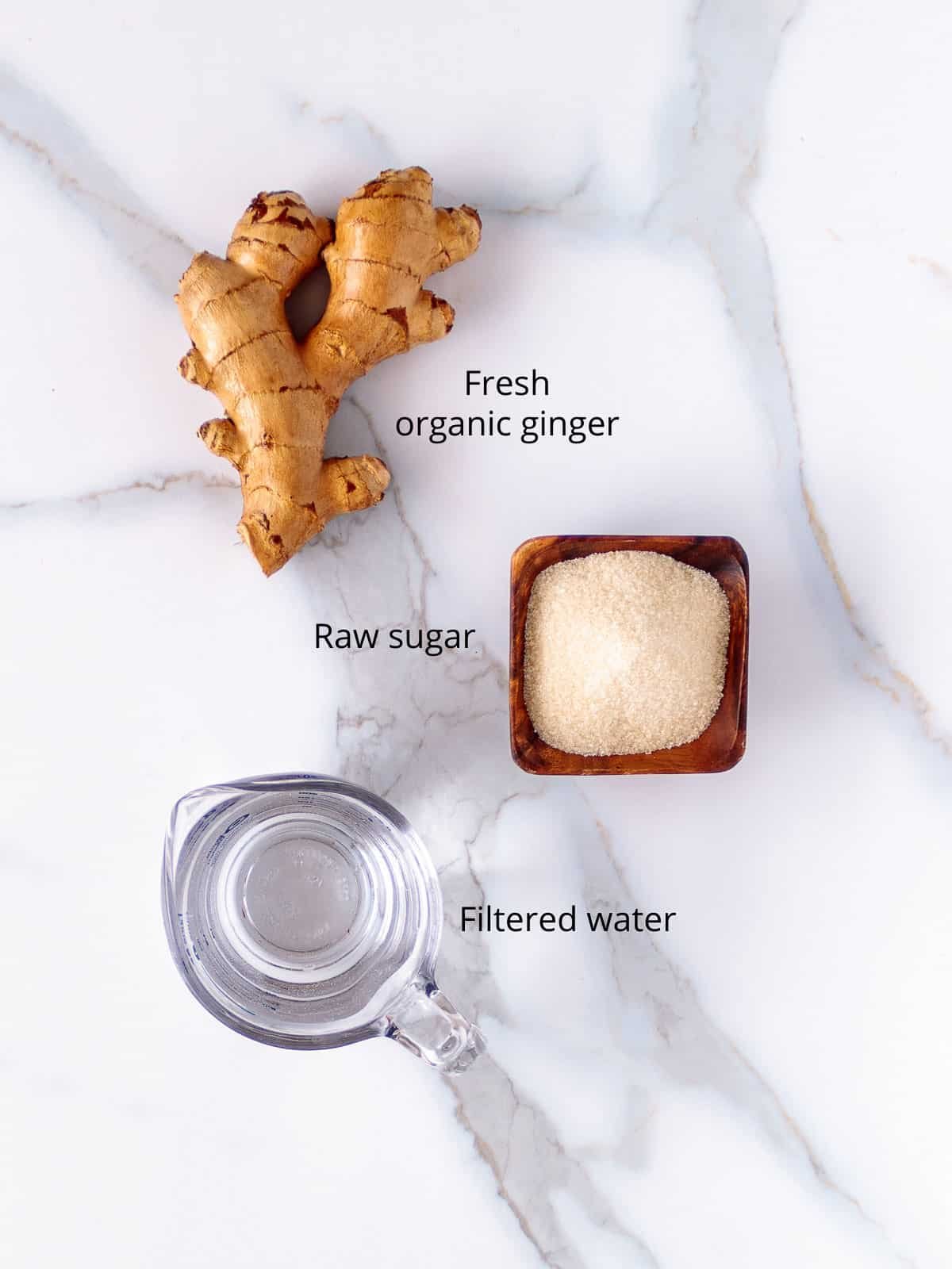 Ginger Bug Recipe - Poppys Wild Kitchen