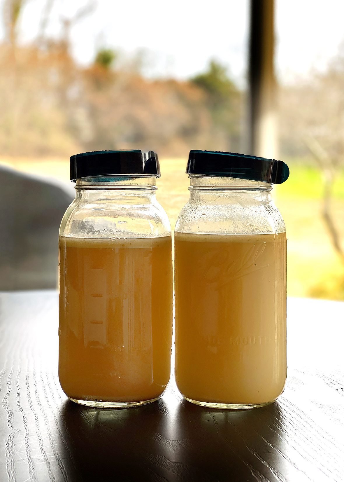 Bone Broth
