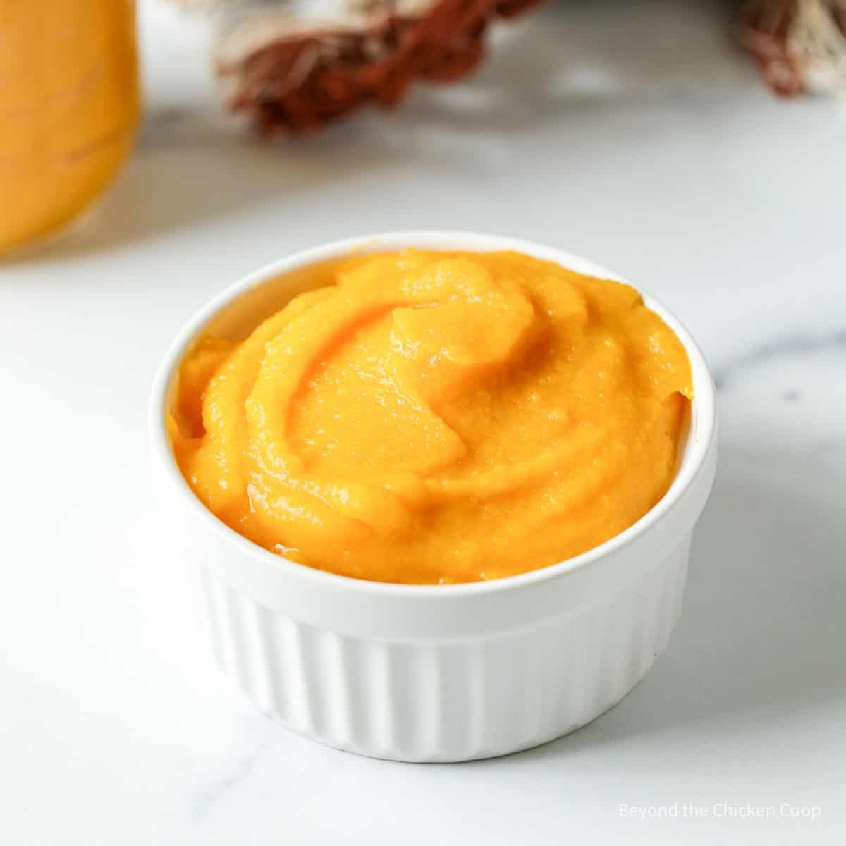 Pumpkin Puree - Beyond The Chicken Coop
