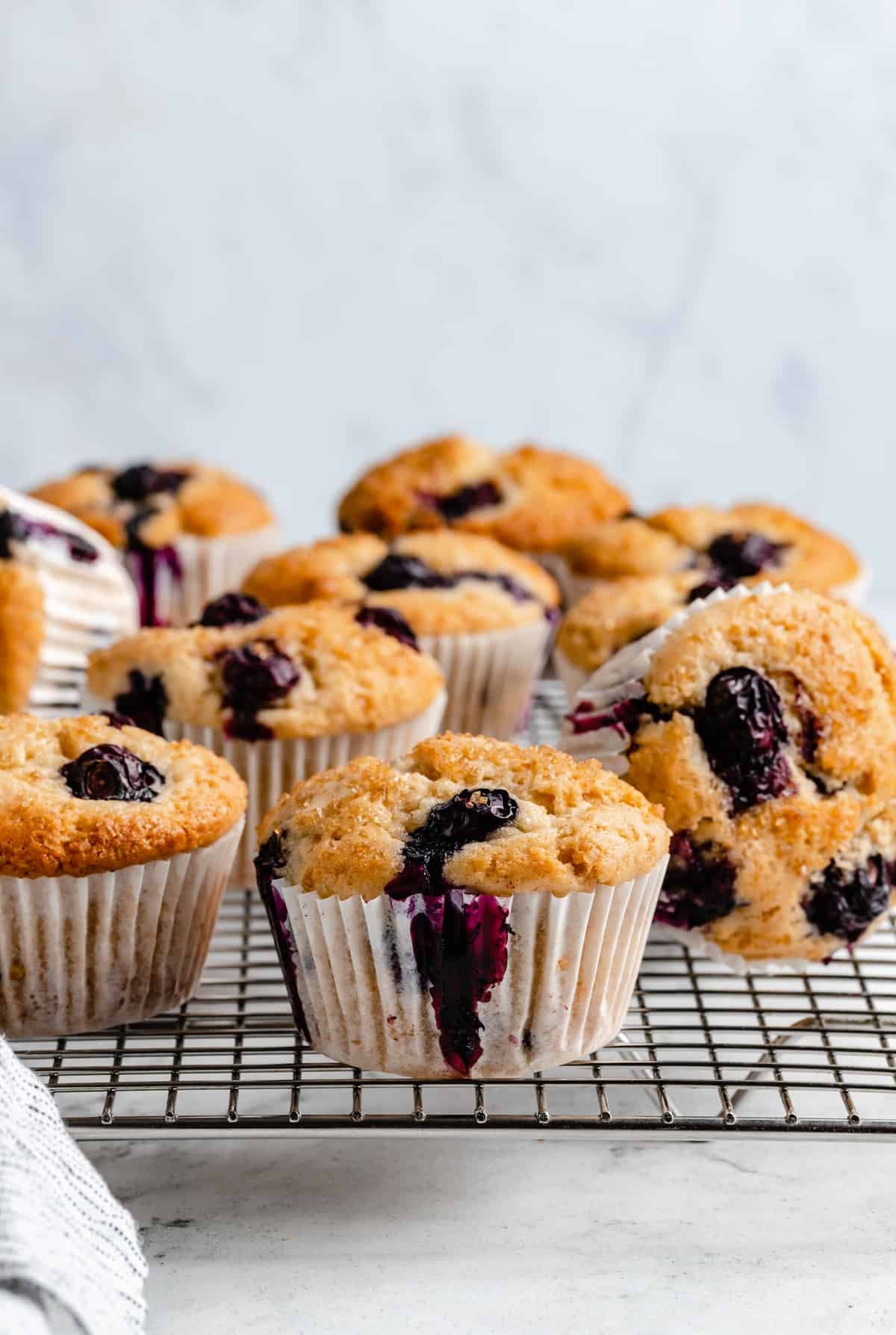 The Best Vegan Blueberry Muffins