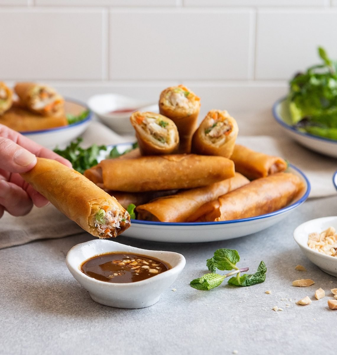 Crispy Fried Crab Spring Rolls