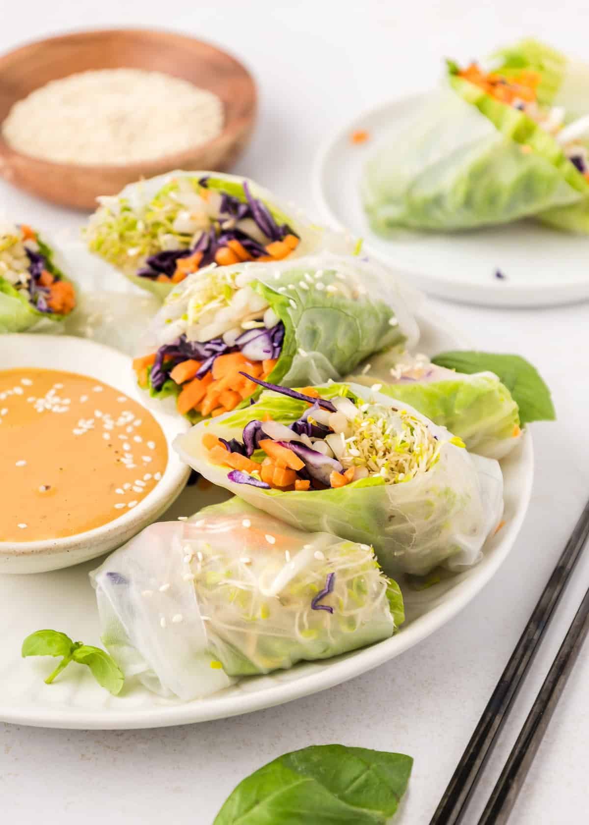 Veggie Spring Rolls