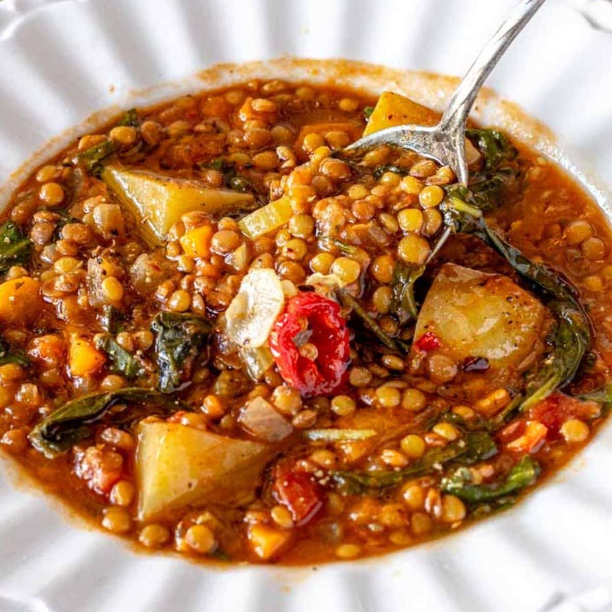 Mediterranean Lentil Soup