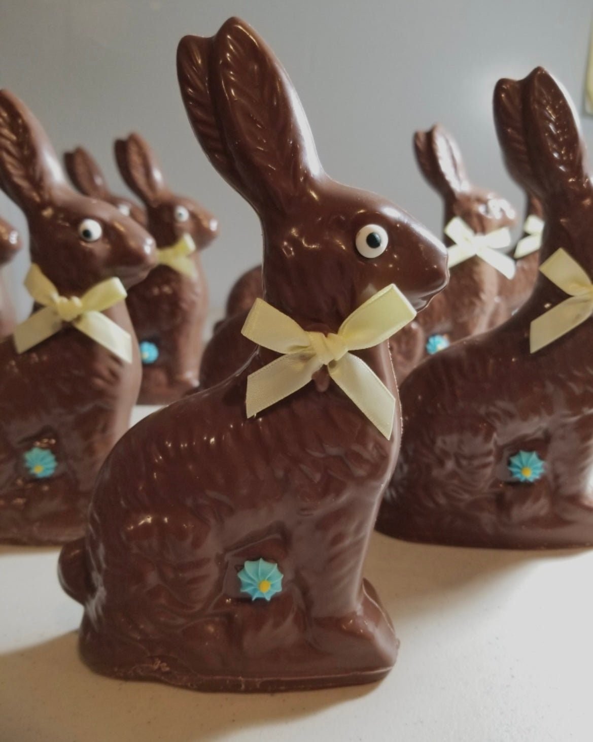 Buy Nut Free Chocolate Bunny Online | Sweeties Candy Cottage