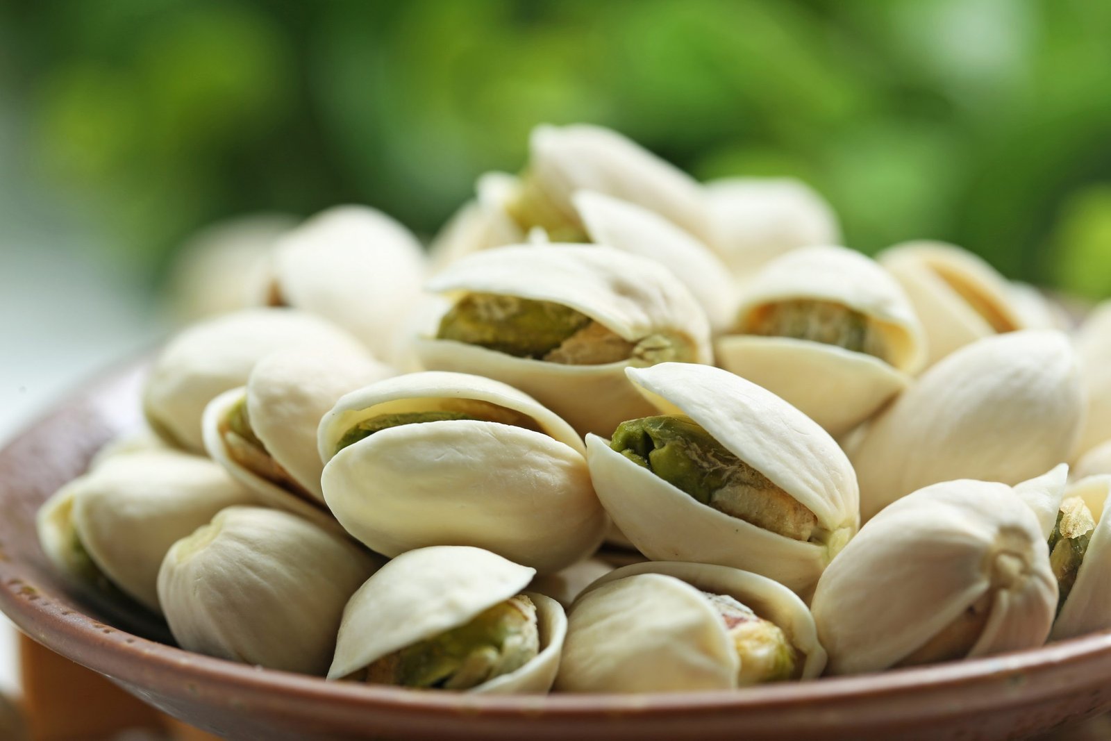 History of the Pistachio - Heart Of The Desert
